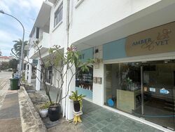 Frankel Estate (D15), Shop House #599569381